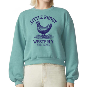 Little Rhody Arctic Vintage Women’s Crewneck Sweatshirt
