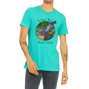 Wilcox Park Rabbit Sea Green Tri-Blend Vintage Unisex Tee